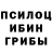 Псилоцибиновые грибы Cubensis Yura Enfield