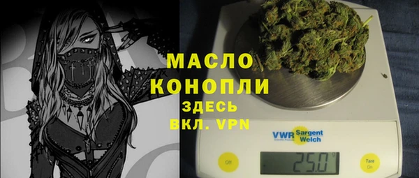 индика Инта