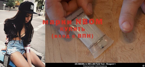 индика Инта