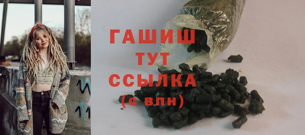 индика Инта