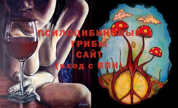наркотики Инсар