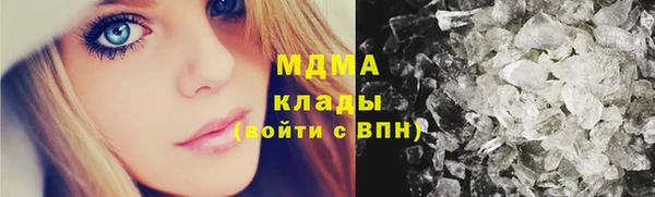 индика Инта