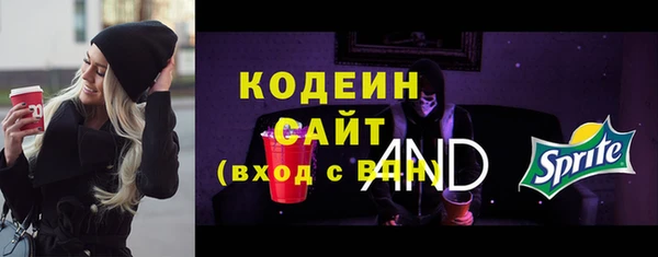 индика Инта