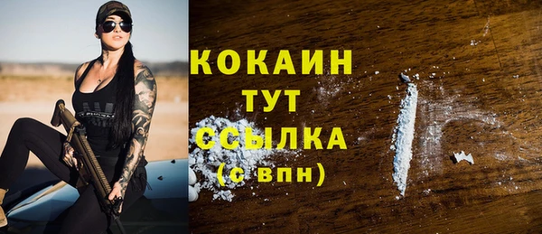 индика Инта