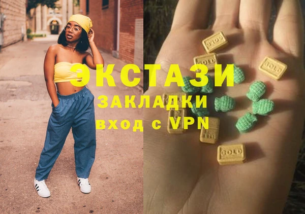 индика Инта