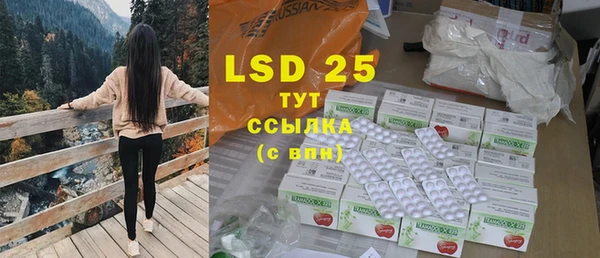 индика Инта