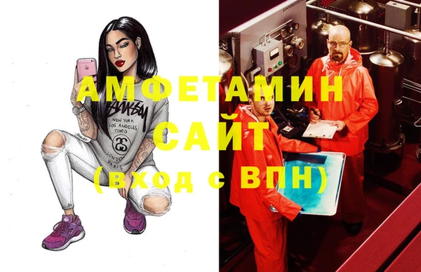 индика Инта