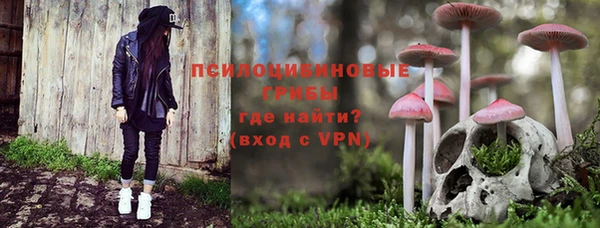 индика Инта