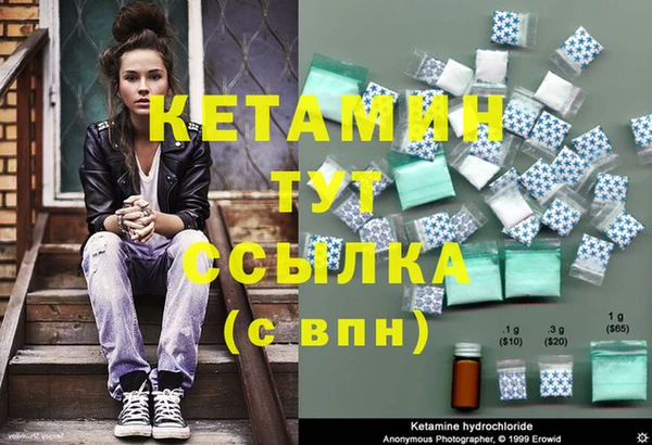 индика Инта