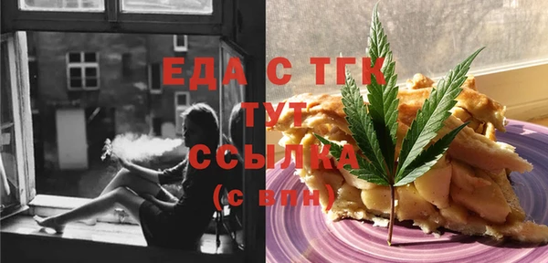индика Инта