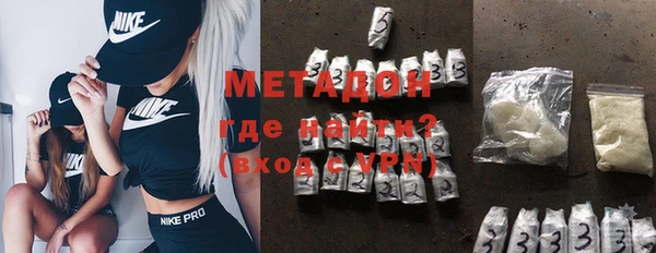 индика Инта