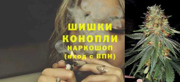 индика Инта