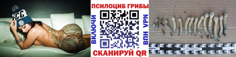 Галлюциногенные грибы Cubensis  наркотики  Катав-Ивановск 